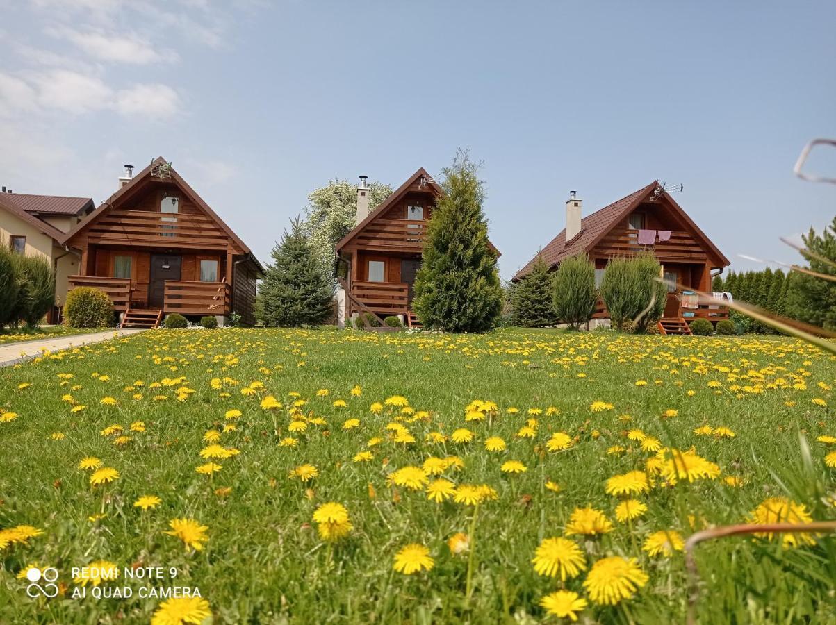 Hotel Osrodek Wczasowy "Wczasy Pod Grusza" Biecz Exterior foto